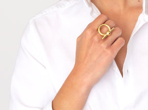 Anillo Omega